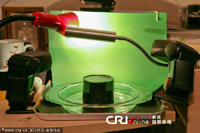 英國一工作室拍攝蚊子孵化場景(高清組圖)