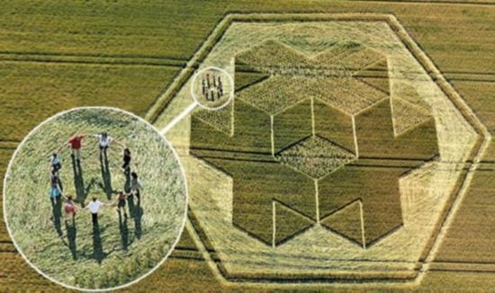 英國UFO之都再現(xiàn)三維麥田怪圈(組圖)