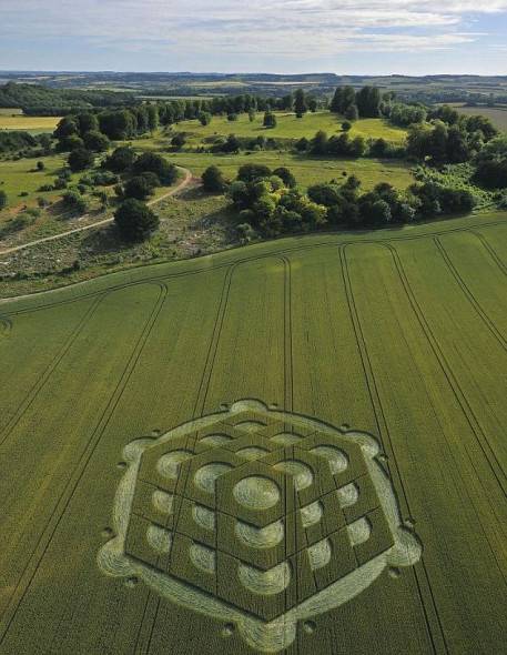 英國UFO之都再現(xiàn)三維麥田怪圈(組圖)