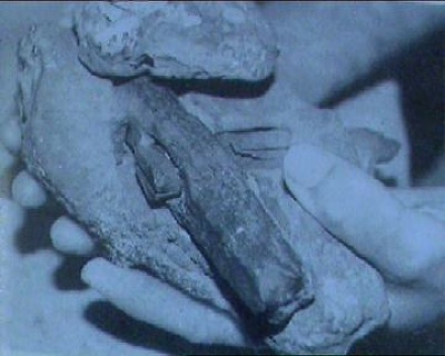 全球十大未解之謎 幾億年前的涼鞋印