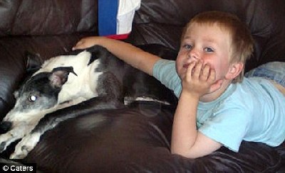 “躲貓貓”釀悲劇 英4歲男童爬入滾筒甩干機喪生