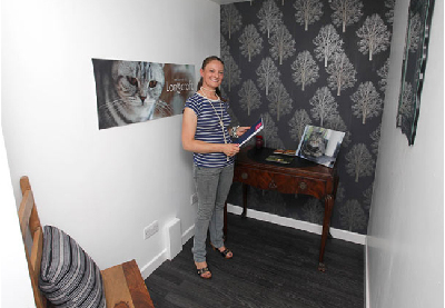 圖：英國出現專為貓設計的“5星級酒店”