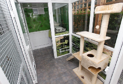 圖：英國出現專為貓設計的“5星級酒店”