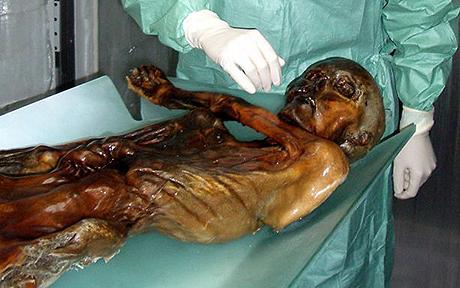 科學家解碼5300年冰尸DNA 尋找“冰人奧茲”后代