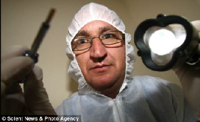 近50年來世界最大黃蜂巢現身英國 如微型轎車大小