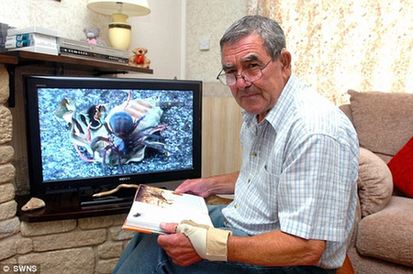 英國老人攝像機拍下大蜘蛛捕食畫面 疑似世界最毒蜘蛛