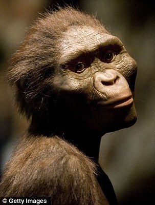 340萬年前骨化石驚現刻鑿痕跡 人類使用石器提前80萬年