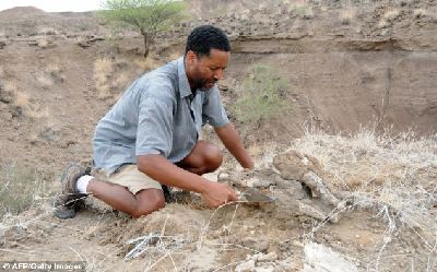 340萬年前骨化石驚現刻鑿痕跡 人類使用石器提前80萬年