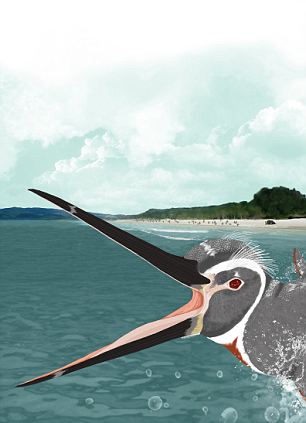 秘魯發現巨型企鵝化石 高1.5米號稱“水中之王”