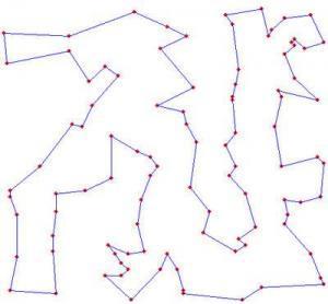 快速解決“推銷員問題” 蜜蜂計(jì)算能力遠(yuǎn)超電腦