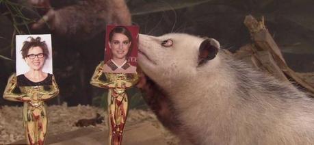 “對(duì)眼鼠”接力“章魚帝” 預(yù)測(cè)奧斯卡獎(jiǎng)最佳女主角