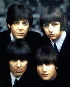  攝影師抓拍“怒發(fā)沖冠”