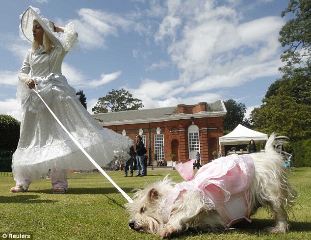 戴妃故居前狗狗精心裝扮一決高低 為修復工程籌款