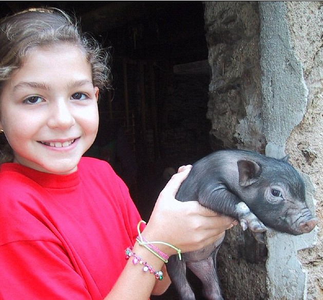 意寵物豬愛(ài)吃甜食重達(dá)90公斤 英豬寶貝游泳回家夠聰明