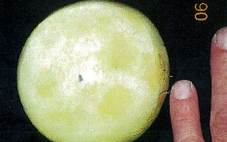 美老婦兜售月巖碎片被沒收 NASA指其私藏國家財(cái)產(chǎn)