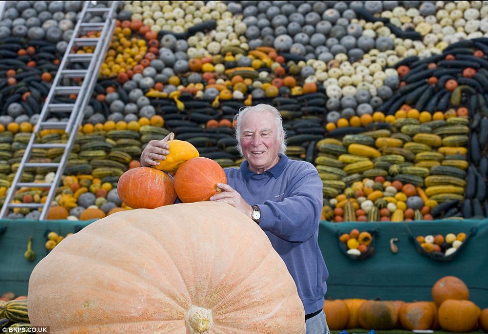 圖：百種瓜果打造巨幅壁畫 英國村民喜迎萬圣節