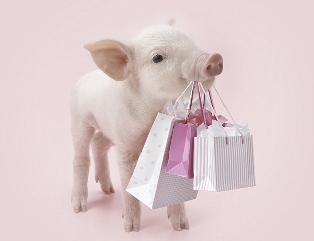 快樂小豬愛拍照 或賣力鍛煉或扮購物狂