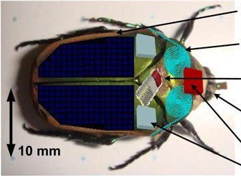 可變形氣動(dòng)軟體機(jī)器人問世 微型電子蟲或成救援先鋒