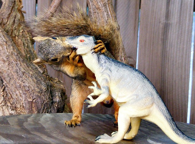 圖：小松鼠“愛上”塑料霸王龍 又親又抱真逗樂