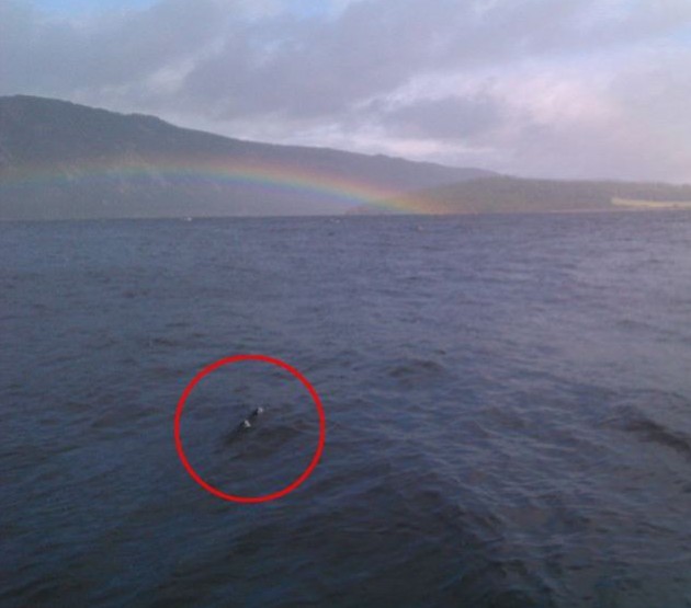 尼斯湖水怪現身？聲納圖片顯示湖底存在巨型蛇狀生物