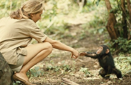 《國(guó)家地理雜志》125周年特賞 十大經(jīng)典美圖