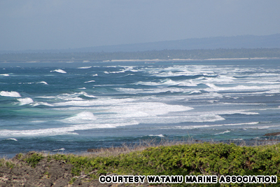 盤點非洲最美的25個海灘(組圖)