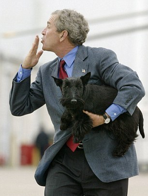 小布什愛(ài)犬、前美國(guó)“第一狗”巴尼去世 曾遭普京揶揄