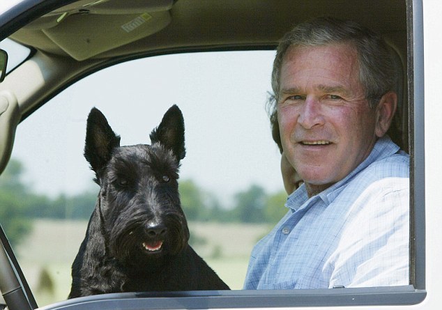 小布什愛犬、前美國“第一狗”巴尼去世 曾遭普京揶揄