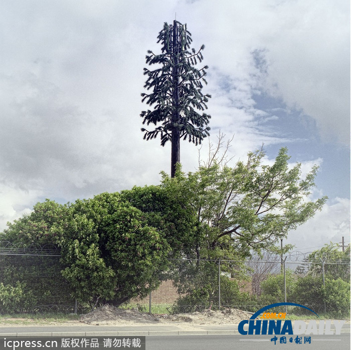 外來(lái)物種入侵？ 信號(hào)塔偽裝成植物大變身（組圖）