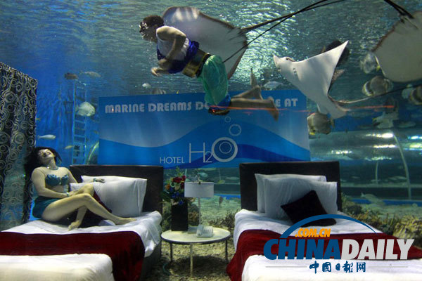 世界各地超另類的酒店！你想入住嗎？（組圖）