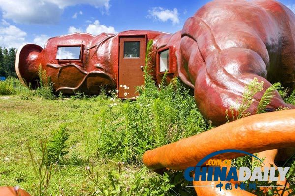 世界各地超另類的酒店！你想入住嗎？（組圖）