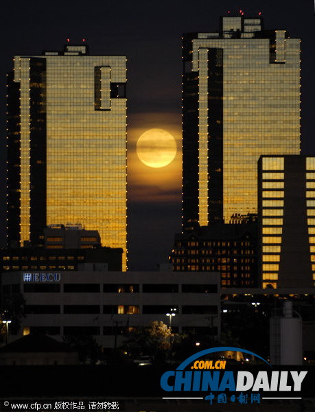 純美“月宮”大賞