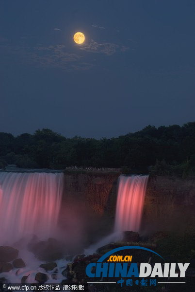 純美“月宮”大賞
