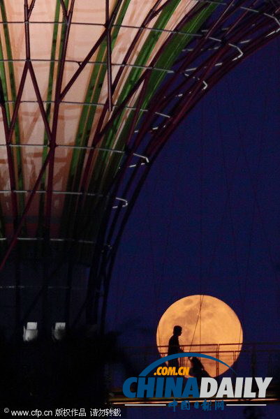 純美“月宮”大賞