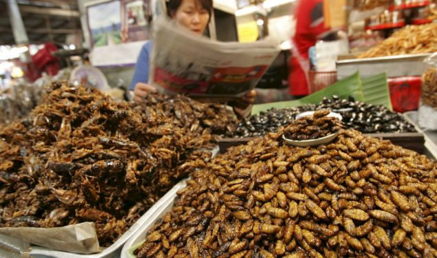 英“昆蟲罐頭”成食客餐桌新寵兒