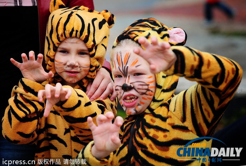 俄羅斯民眾扮成老虎狂歡 呼吁保護(hù)東北虎