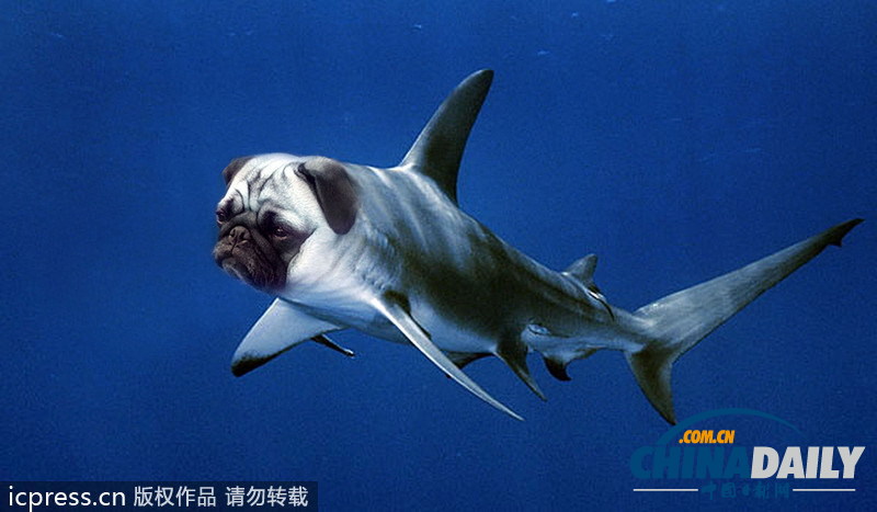 挪威學生用PS巧制合成圖 創(chuàng)造超詭異新物種