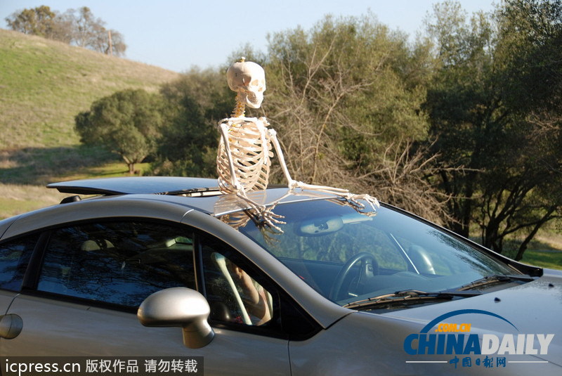 人體骨架一年內周游世界 體驗做人的感覺