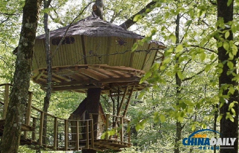 世界各地不同尋常的“奇葩”住所