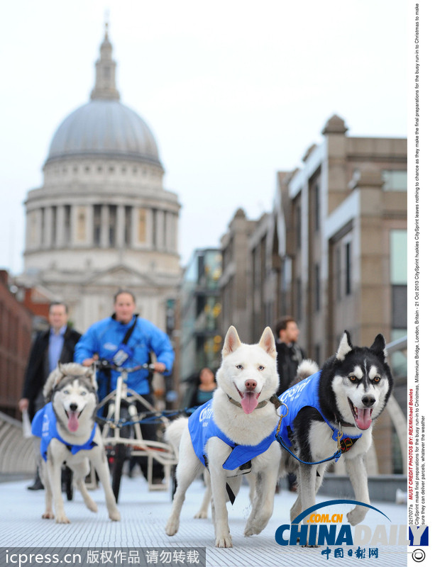 備戰圣誕季 英國快遞公司演練狗拉雪橇送包裹（高清組圖）