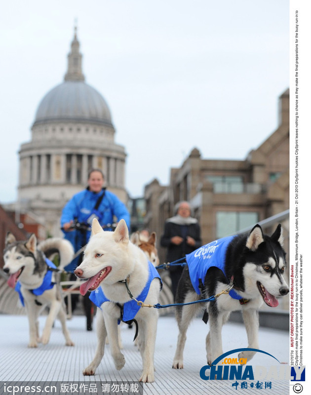 備戰圣誕季 英國快遞公司演練狗拉雪橇送包裹（高清組圖）