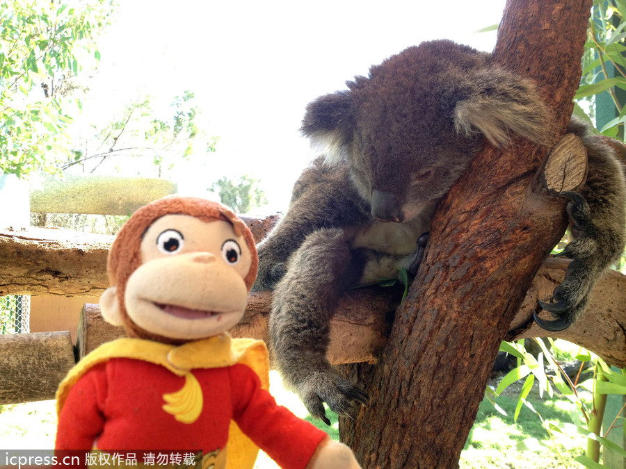 玩具猴環球之旅各大景點合影留念