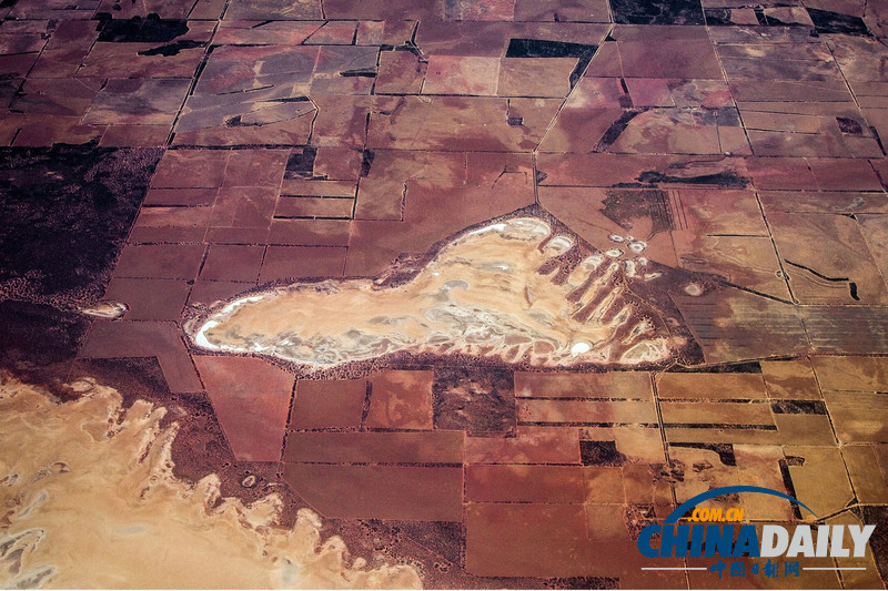 人類精子、上帝足跡 攝影師澳大利亞田野上空拍奇觀