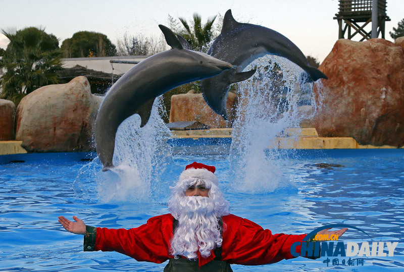 圣誕節將至 可愛“圣誕老人”無處不在