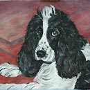 狗狗的畫像值多少錢？