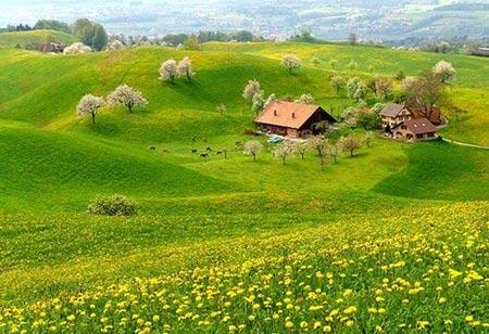 奢侈：感受童話中美輪美奐的豪宅