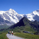 奇異旅行：在阿爾卑斯山打撲克