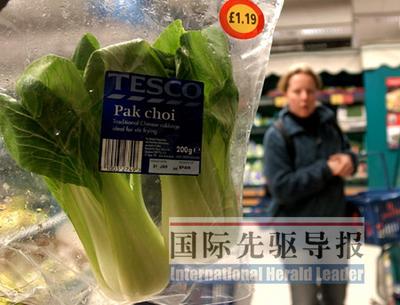 全球面臨空前物價上漲 各國消費者納悶