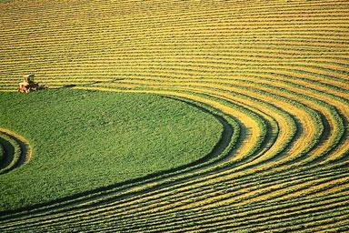 2010年中國經濟信號燈