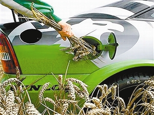 生物燃料究竟有多“綠”？